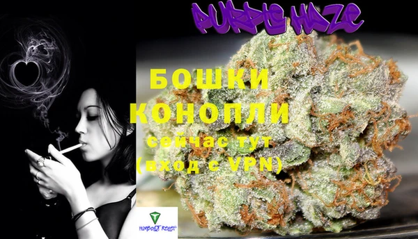 бошки Аркадак