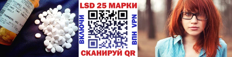 блэк спрут зеркало  Нововоронеж  Лсд 25 экстази кислота 