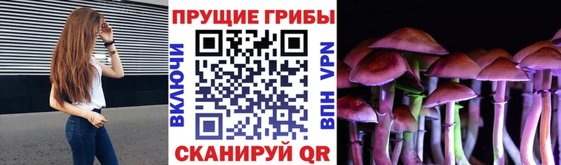 Галлюциногенные грибы прущие грибы Нововоронеж